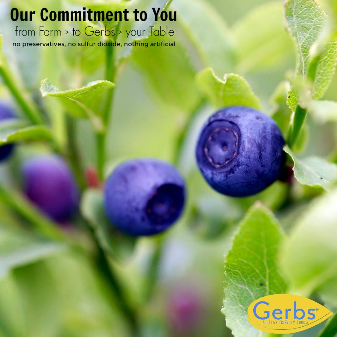 Gerbs Dried Blueberries 4 lbs. | Unsulfured, No Additives, Resealable Bag | Naturally Sweet & Tart | Top 14 Allergen-Free