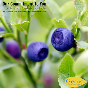 Gerbs Dried Blueberries 4 lbs. | Unsulfured, No Additives, Resealable Bag | Naturally Sweet & Tart | Top 14 Allergen-Free