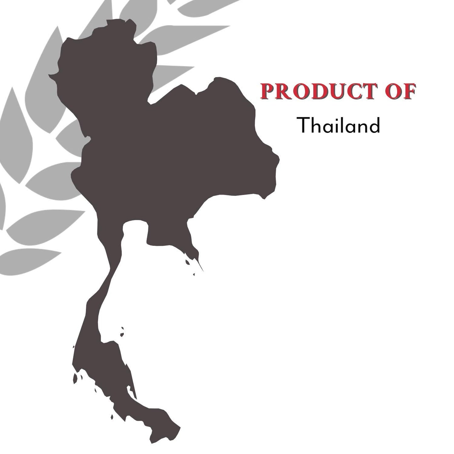 Roland Foods Fragrant Jasmine Rice From Thailand, 17.5 Ounce, Pack Of 12