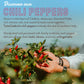 TUTTOCALABRIA Crushed Calabrian Chili Peppers, 6.5  oz (185  g) in Glass Jar - Artisanal Red Chili Pepper, Vegan, Gluten-Free, N