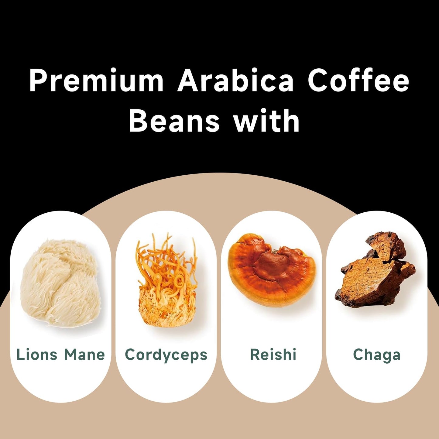 Chaism Mushroom Coffee Pods - Arabic Coffee with Lions Mane  Cordyceps  Reishi  Chaga for Focus & Energy Boost  Sugar-Free  Fat-Free 12 K Cups (12 Counts  Medium Roast)