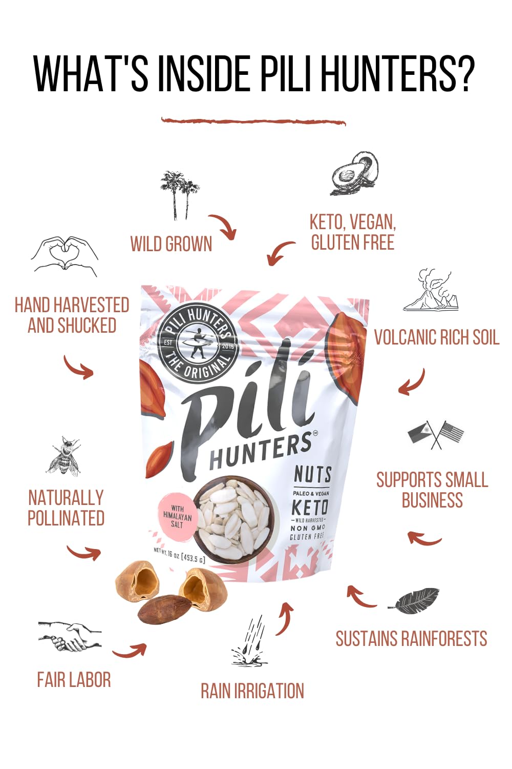 Pili Hunters Wild Sprouted Pili Nuts, Himalayan Salt, Keto/Paleo/Vegan, Gluten Free, 1 lb Bag