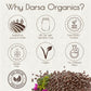 Darsa Organics Black Mustard Seeds 5.3 Oz - Organic Black Mustard Seeds For Pickles, Curries, & Spice Blends, Usda Certified, No