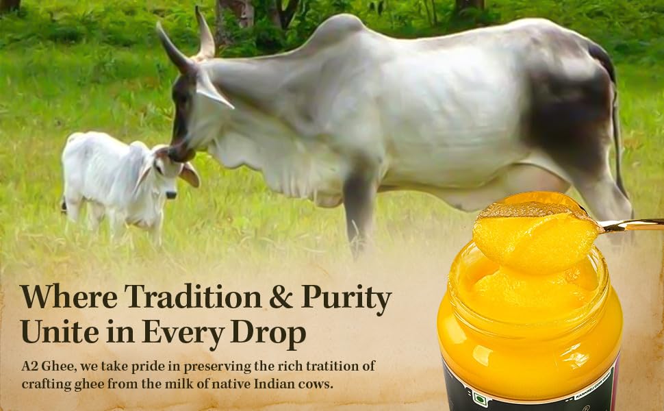 Tdn Farm Fresh A2 Ghee - 1L Glass Bottle, Nddb A2 Lab Certified, A2 Cow Desi Ghee, A2 Ghee Bilona Method, A2 Organic Cow Ghee, Grassfed, Cultured Enhanced Ghee, Curd Churned A2 Ghee