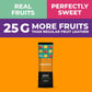 ZEST Dhigh-standards Fruit Snacks, Dried Mango Bars, No Sugar Added, 0.88 oz x 10 Pack