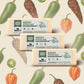 Farmers Market, Gluten Free, Keto, Paleo, Low Sodium, Zero Sugar, Wisconsin Cheese Gift Sets, 3-Pack, Monterey Pepper Jack