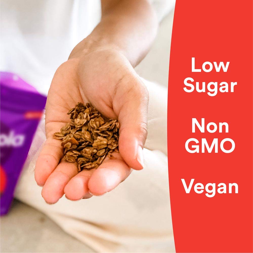 Gr8Nola Cinnamon Chai - Healthy, Low Sugar, Vegan Granola Cereal - Made With Superfoods Cinnamon, Ginger And Cardamom, Soy Free,