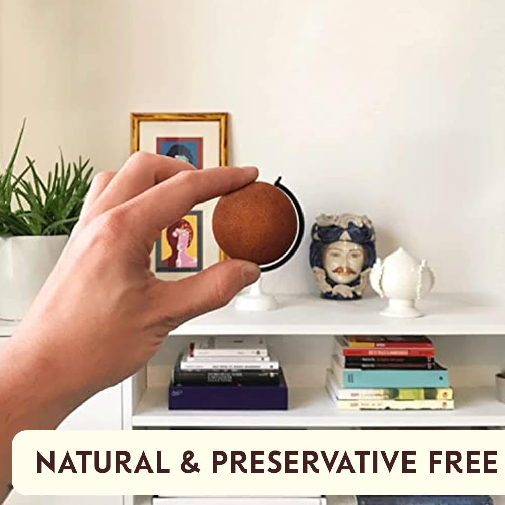 Grisbi Hazelnut Shortbread By Pasticceria Matilde Vicenzi, Hazelnut Cream Filled Patisserie Pastry Cookie, All-Natural, Kosher D