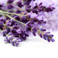 OliveNation Lavender Extract - Natural Baking Flavoring - 4 oz - Ideal for Cakes, Whipped Creams, Teas, and Desserts