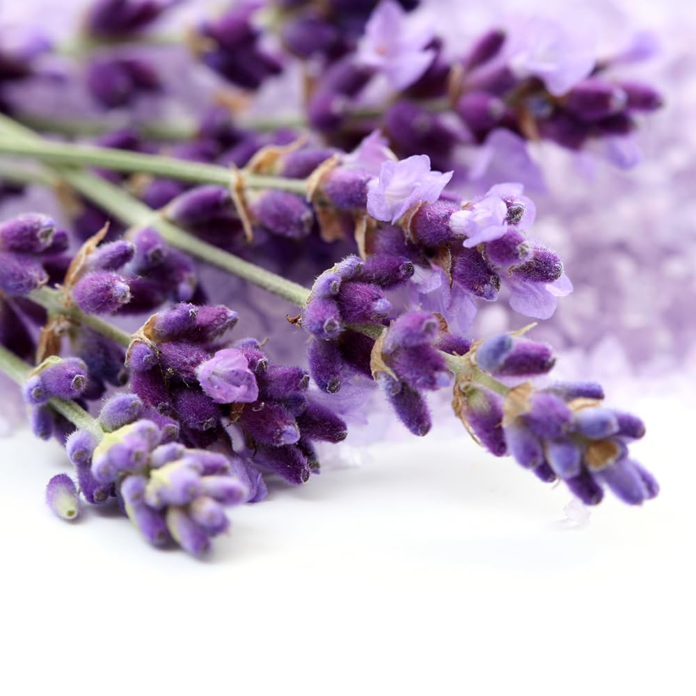 OliveNation Lavender Extract - Natural Baking Flavoring - 4 oz - Ideal for Cakes, Whipped Creams, Teas, and Desserts