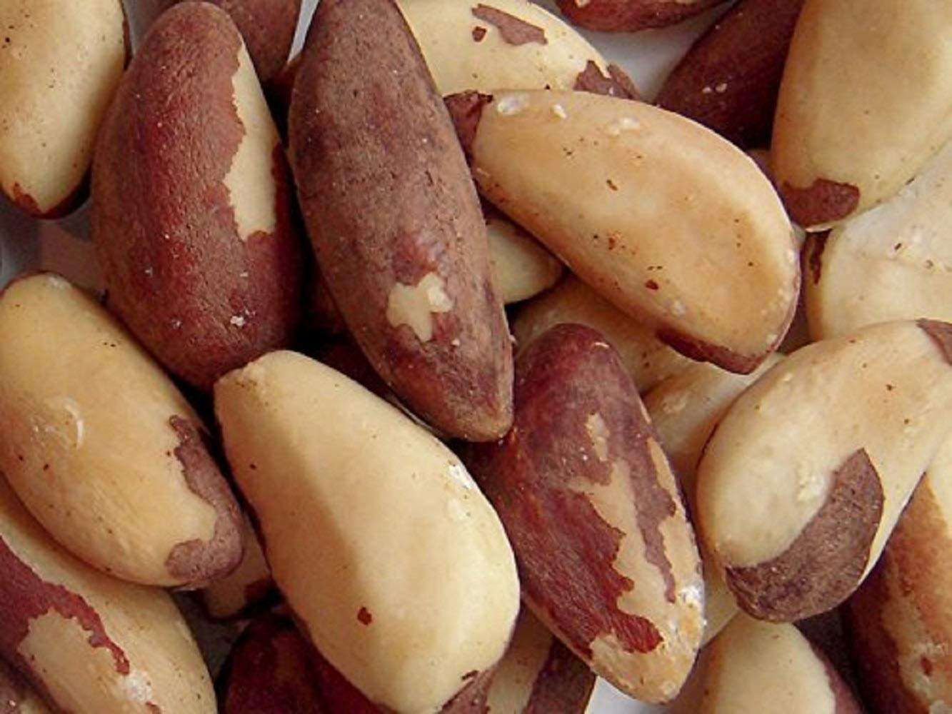 Freshly Roasted Shelled Brazil Nuts With Coconut Oil And Pink Himalayan Salt (1 Lb.) - Healthy Southern Tastiness - Small Batch