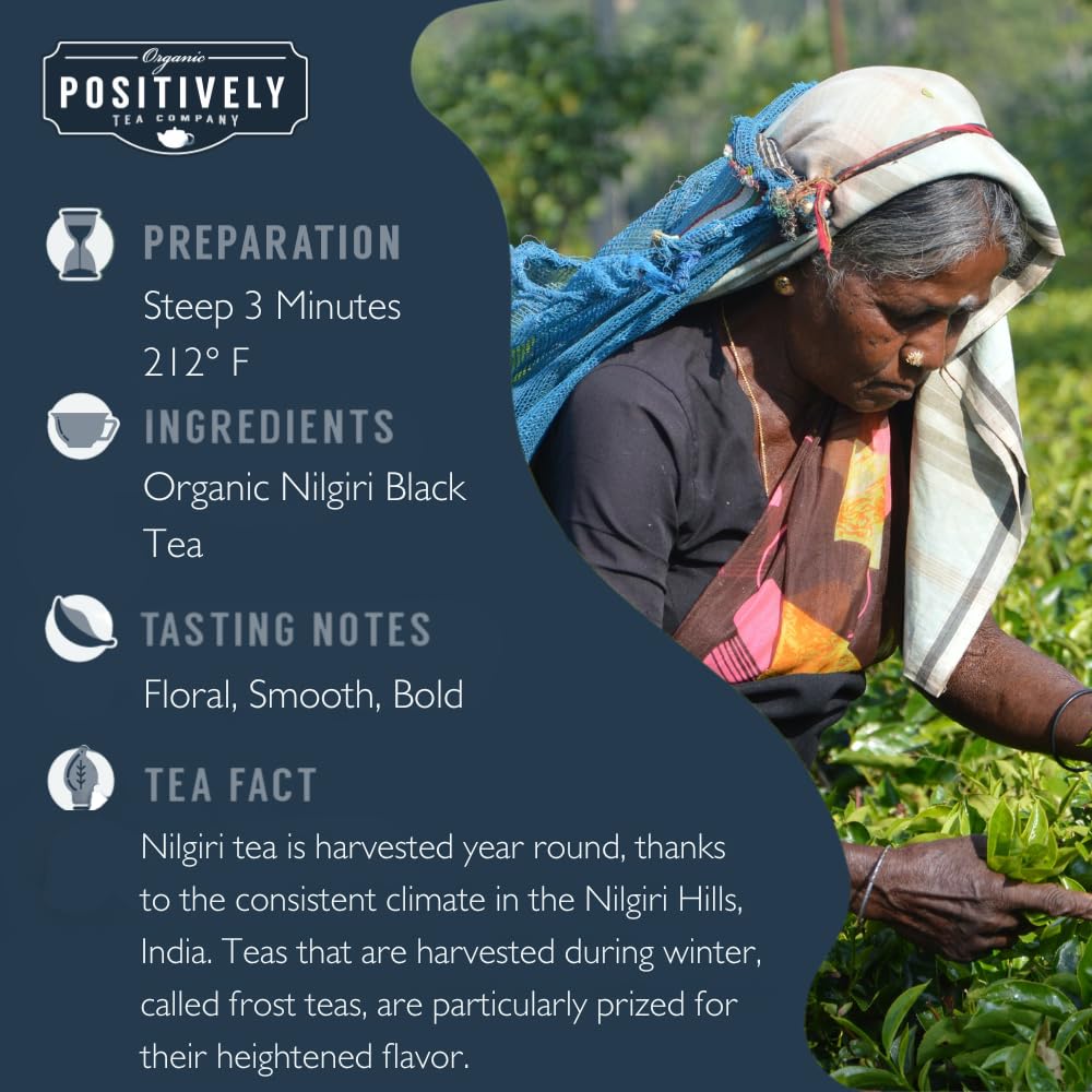 Organic Positively Tea Company Indian Tea Sampler Loose Leaf 4 Ounce Pack of 3