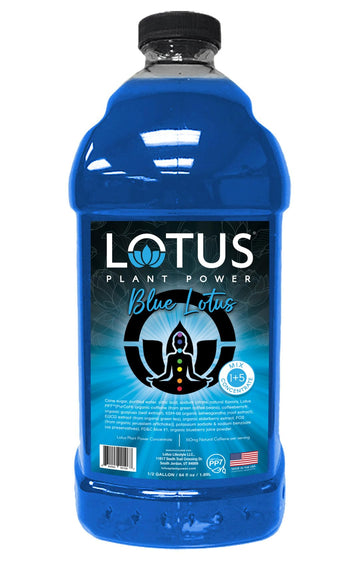 Blue Lotus Plant Energy Drink Concentrate | Pure Cane Sugar | 64 fl oz | 1:5 | Natural Caffeine from Green Coffee Bean