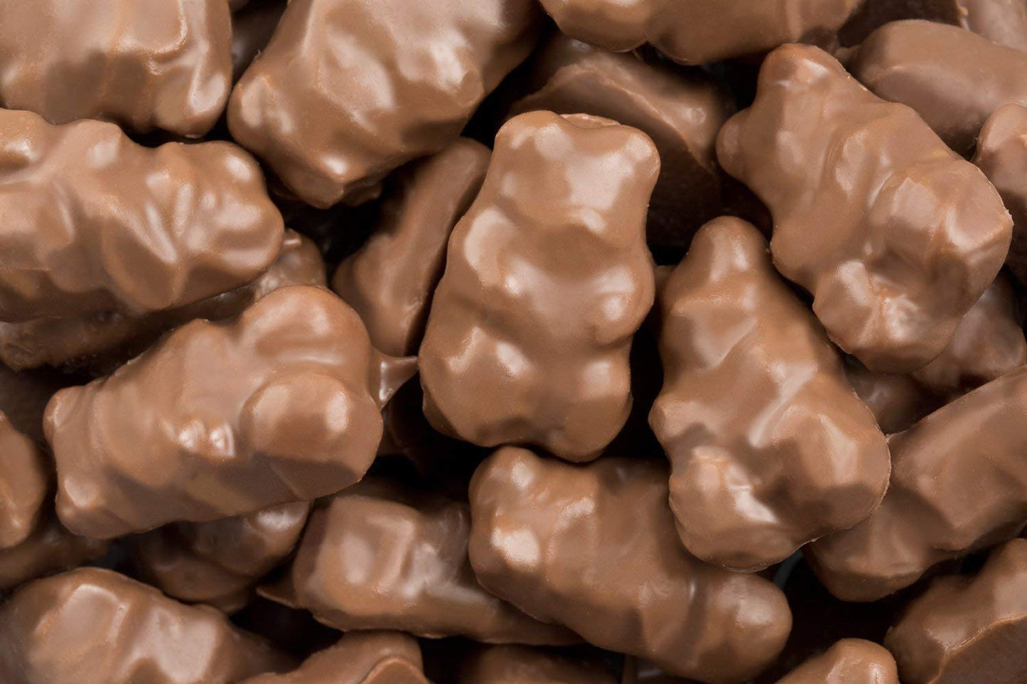 The Nutty Fruit House Milk Chocolate Covered Gummy Bears 1 Pound Bag