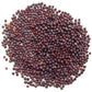 Pride Of India- Organic Black Mustard Seed Whole - 24 Oz (680 Gm) Large Dual Sifter Jar - Certified Pure Indian Vegan Spice- Bes
