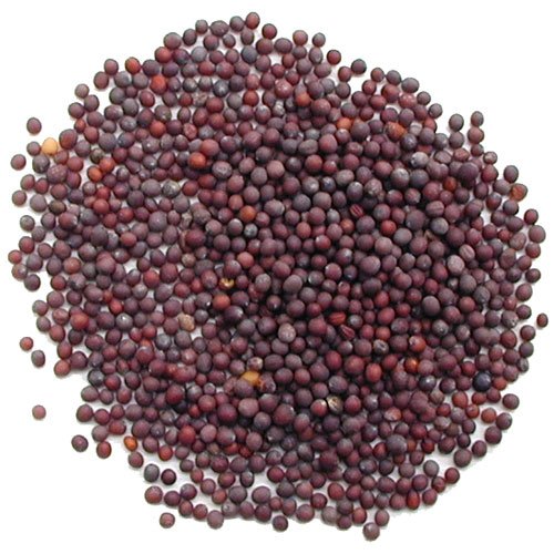 Pride Of India- Organic Black Mustard Seed Whole - 24 Oz (680 Gm) Large Dual Sifter Jar - Certified Pure Indian Vegan Spice- Bes
