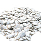 GERBS Jumbo Raw Pumpkin Seeds in Shell - 2 lbs - Non-GMO, Vegan, Kosher, Allergen-Free Pepitas