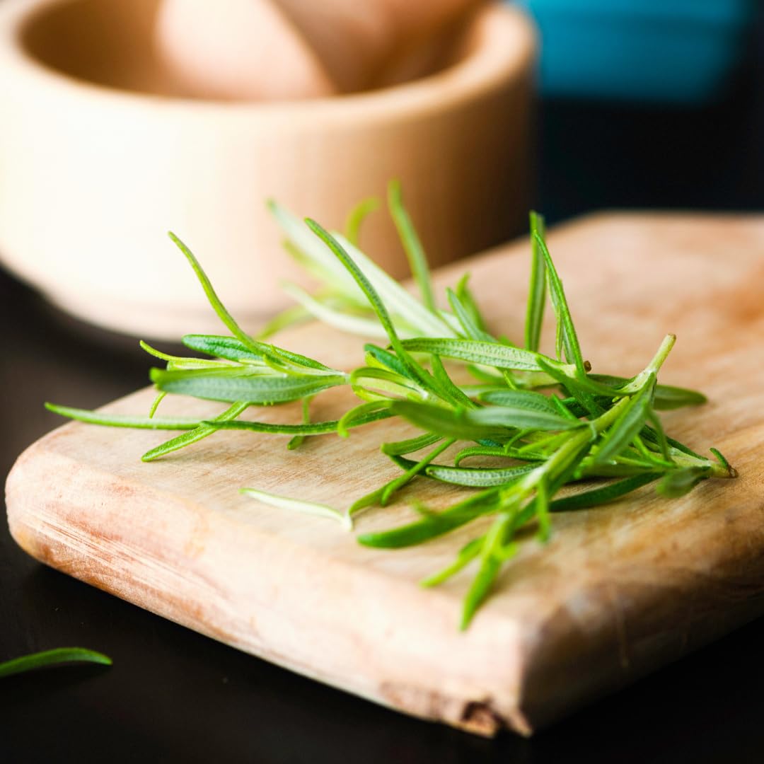 Olive & Vine Rosemary Leaves, Earthy & Aromatic, Seasoning For Roasted Meats, Soups, And Breads, Rich Tradition, Authentic Taste