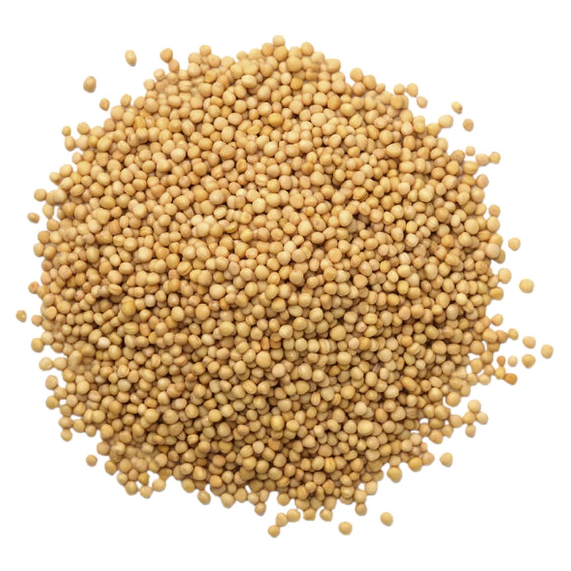 Food To Live - Yellow Mustard Seeds, 2.5 Pounds Whole Spice, Vegan, Kosher, Bulk. Spicy, Pungent Flavor. Rich In Selenium, Fiber. Perfect For Pickling, Condiments, Homemade Dips, And Marinades