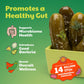 Olive My Pickle Fermented Dill Pickles - 96 Ounces | 3 Pack Bundle Of Probiotic Pickles Kosher Dill And Brine With Digestive Enz