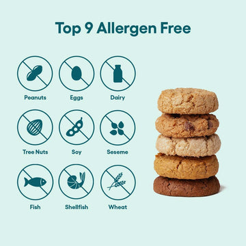 Partake Foods Gluten Free Soft Baked Cookies Variety Pack (Chocolate Chip, Lemon & Snickerdoodle) - Vegan - Free From the Top 9