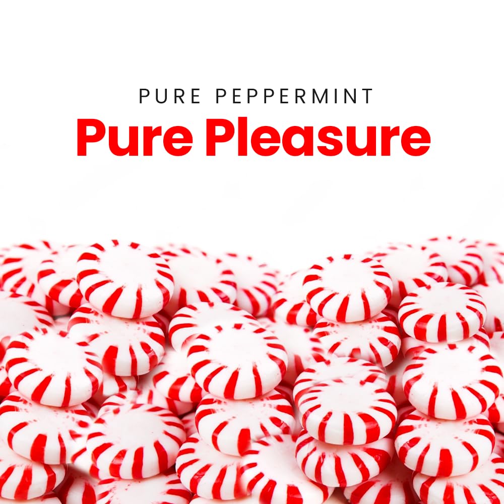 Sweetaholic Sugar Free Peppermint Candy 6 Pounds | Individually Wrapped Candy | Fresh Peppermint Disc