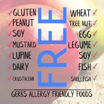 GERBS Dried Mango Slices 2 LBS. Sweet | Freshly Dehydrated Resealable Bulk Bag | Top Food Allergy Free | Sulfur Dioxide Free | D