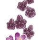 Andy Anand Sugar Free Candy Violets 50Pc - Typical Old Fashioned Hard Candy Dragee - Flower Shaped Five Petals Stevia Candy - Ze