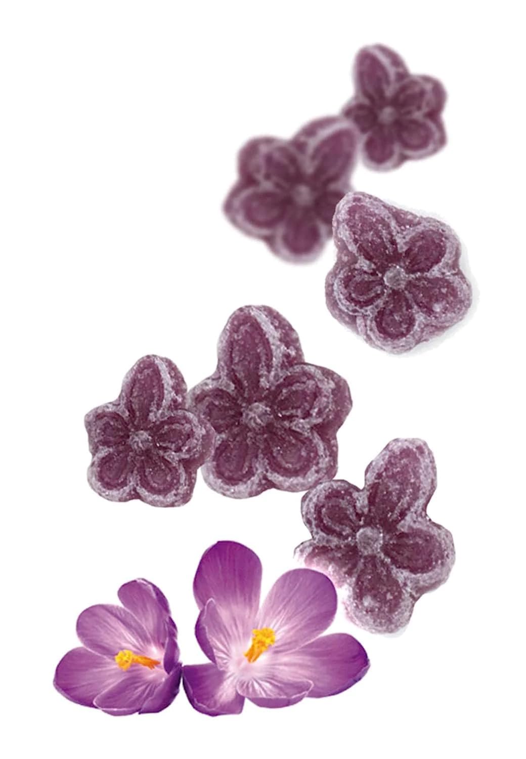 Andy Anand Sugar Free Candy Violets 50Pc - Typical Old Fashioned Hard Candy Dragee - Flower Shaped Five Petals Stevia Candy - Ze