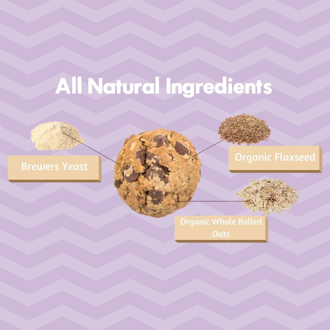 MilkBliss Dark Chocolate Chip Lactation Cookie Mix- Oatmeal Breastfeeding Cookie dietary product Support for Milk Supply Increase 15 oz