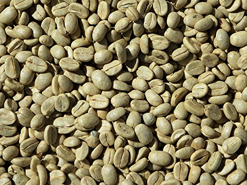 Good Times Coffee Co. Green Unroasted Coffee Beans, Costa Rican Tarrazu (1 Pound)