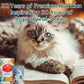 Chicken Soup For The Soul All Natural Enhanced Indoor W/Hairball Care Mature-Themed Dry Cat Food, Real Meat First Ingredient, No By-Products, Supports Intestinal Health, Chicken & Brown Rice, 12Lb