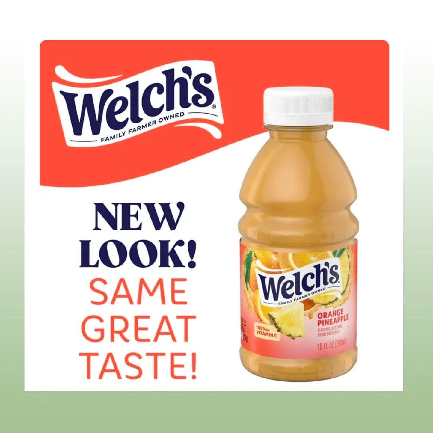 Fruit Juice Orange Pineapple Drink 10 fl oz Plastic Bottles 24 Pack