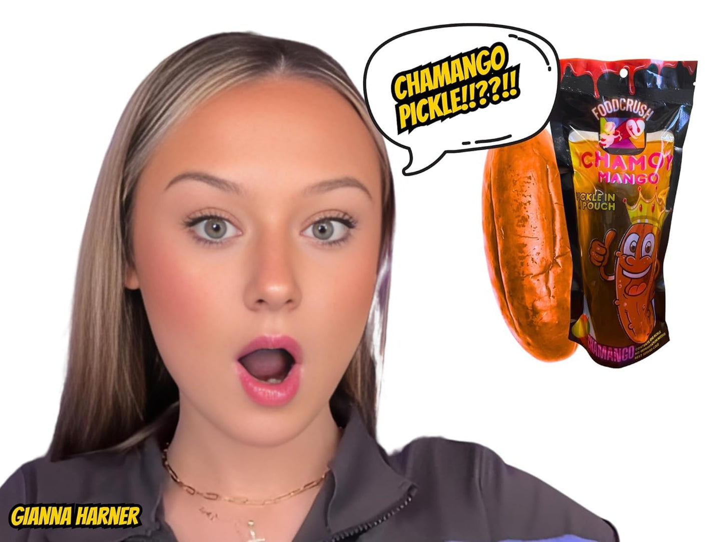 Jumbo Flavored Dill Pickles In A Pouch Sampler Gift Box (Pack of 6-Grape, Cotton Candy, Chamoy, Blue Raz, Tigers Blood, Hot Chil