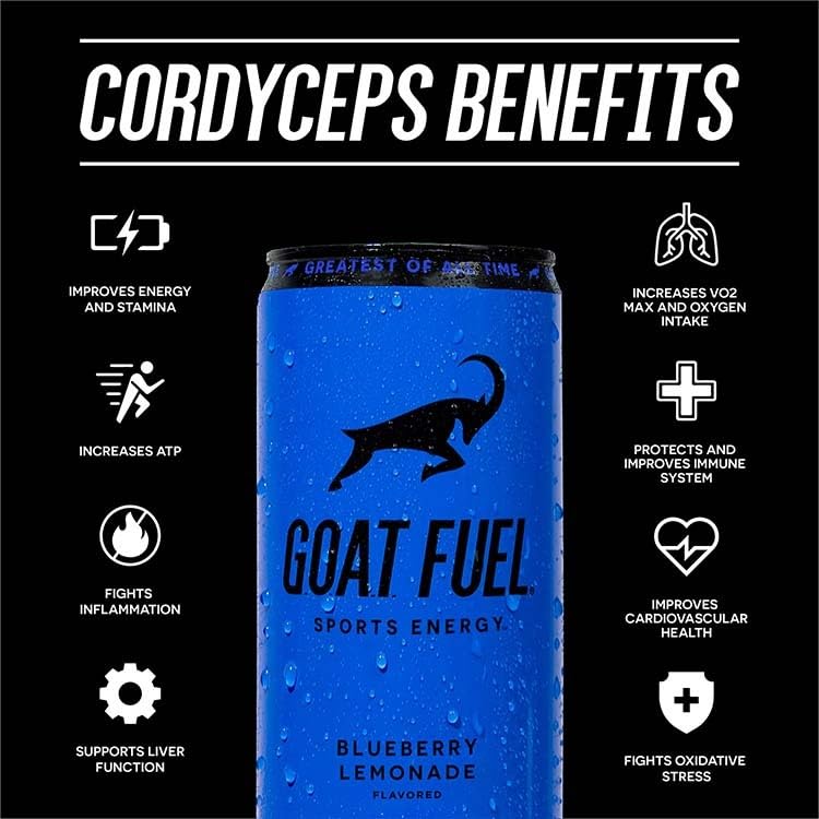 G.O.A.T. Fuel Energy Drink, Natural Caffeine, BCAAs, Electrolytes, 12 Fl Oz, Pack of 12, Blueberry Lemonade