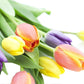 Kabloom Flowers -Valentine'S Day Collection - 10 Assorted Tulips Without Vase, Gift For Birthday, Sympathy, Anniversary, Get Wel