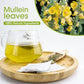 iMATCHME Mullein Leaf Tea - Caffeine Free Herbal Tea, 40 Tea Bags, Respiratory and Lung Cleanse