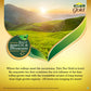 Tata Tea Gold 250gm