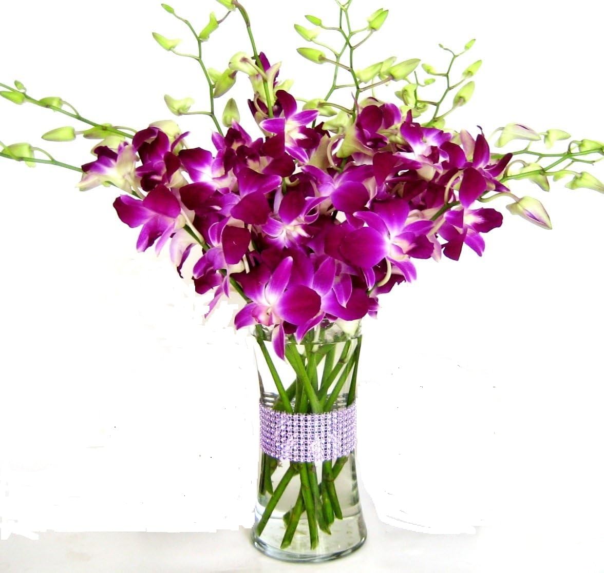 eflowerwholesale Premium Cut Orchids 10 Stems with Rhinestone Mesh Ribbon Vase Purple Model STONEV