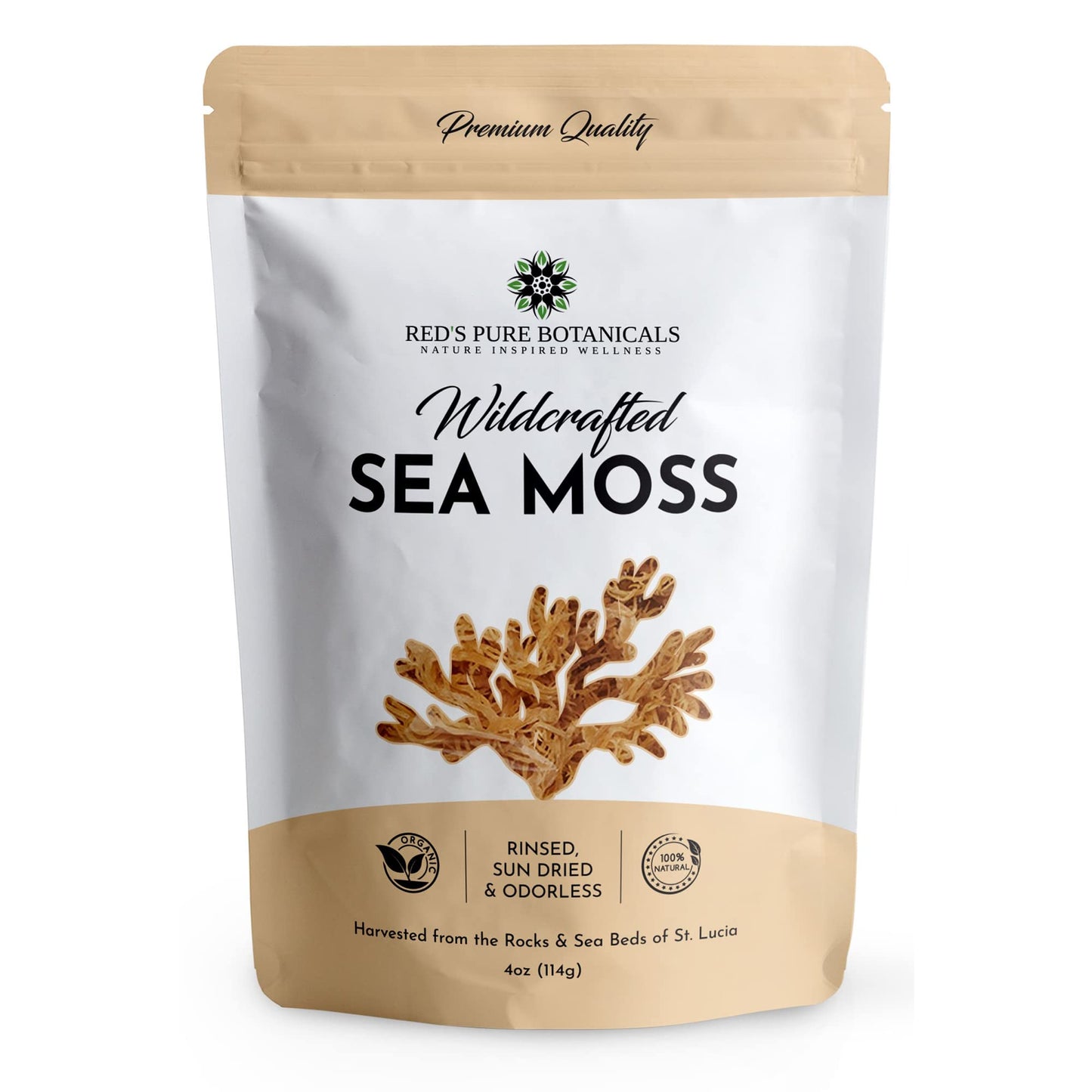 Reds Pure Botanicals Wildcrafted Sea Moss - Raw Vegan Non-GMO - 4oz Dry Makes 60-80oz Gel - Hand-Harvested from St. Lucia