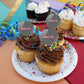 University Of Northwestern Ohio Secondary Logo Cupcake Picks Toppers Decoration Set Of 6