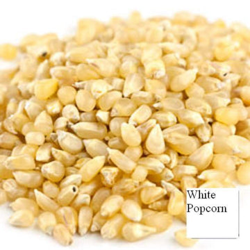 Unpopped Popcorn Kernels (Baby White, 6 LB)