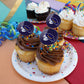 Uc Santa Barbara Primary Logo Cupcake Picks Toppers Decoration Set Of 6