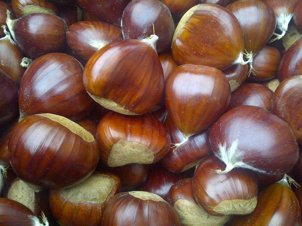 Gourmanity Chestnut Jar, Chestnuts From Ardeche, France, Whole Roasted Chestnuts Peeled And Ready To Eat, Great For Cooking, Bak
