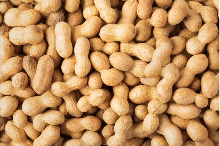 Nuts.Com Organic Raw Peanuts In Shell 1 Lb - Unsalted Whole Peanuts For Boiling, Roasting, And Feeder Stations - Bulk Raw Peanut