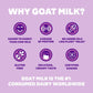 Meyenberg Whole Powdered Goat Milk, 16 Ounce (Pack of 3)