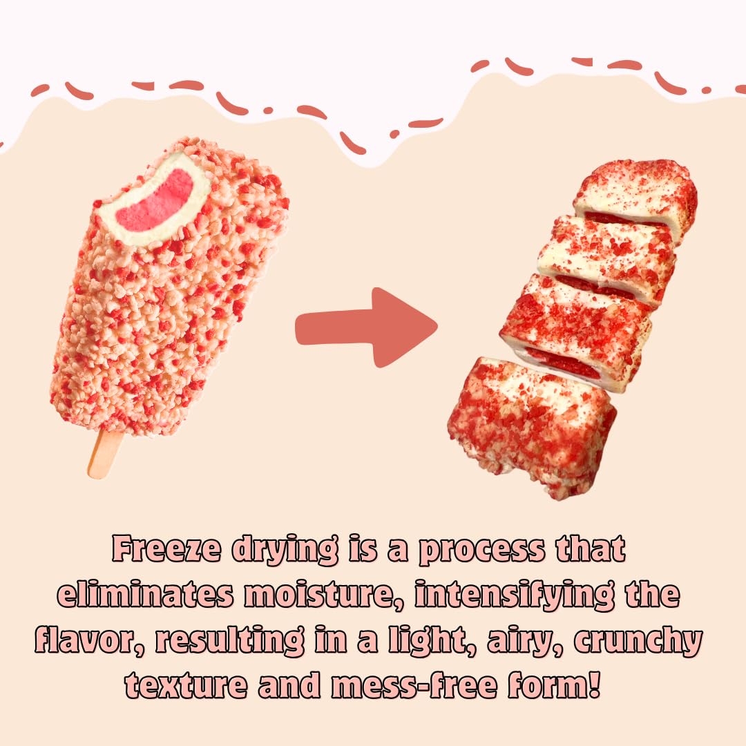G-Box Freeze Dried Ice Cream| Crunch Strawberry Shortcake Ice Cream Bites - Perfect For Camping, Outdoor, And Party - Air-Tight
