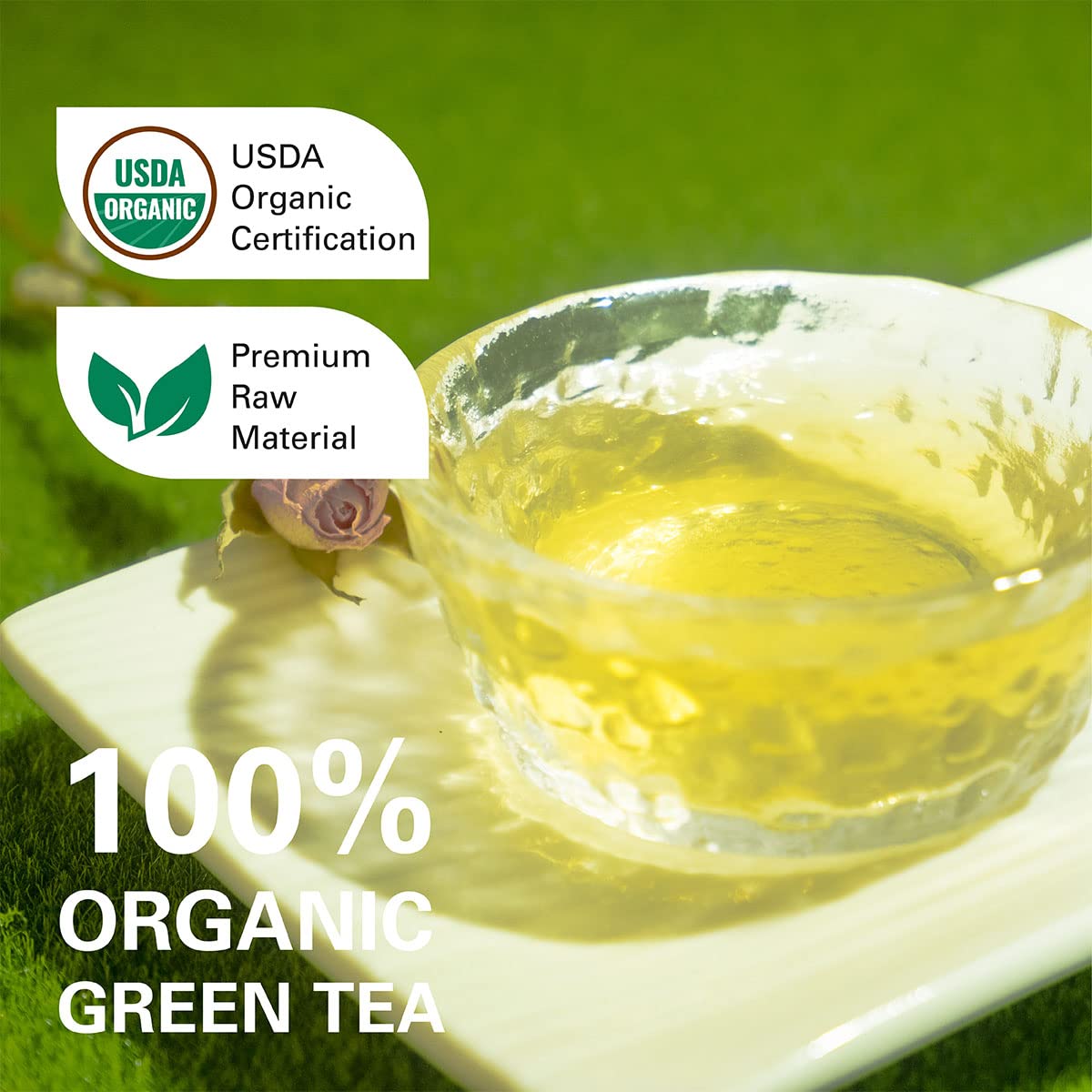Wt Weetee Organic Green Tea Bags, Usda Organic Pure Green Tea 100 Count, Super Antioxidant | Resealable Kraft Bag | Brew Hot Or