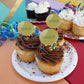 Alabama At Birmingham Secondary Logo Cupcake Picks Toppers Decoration Set Of 6