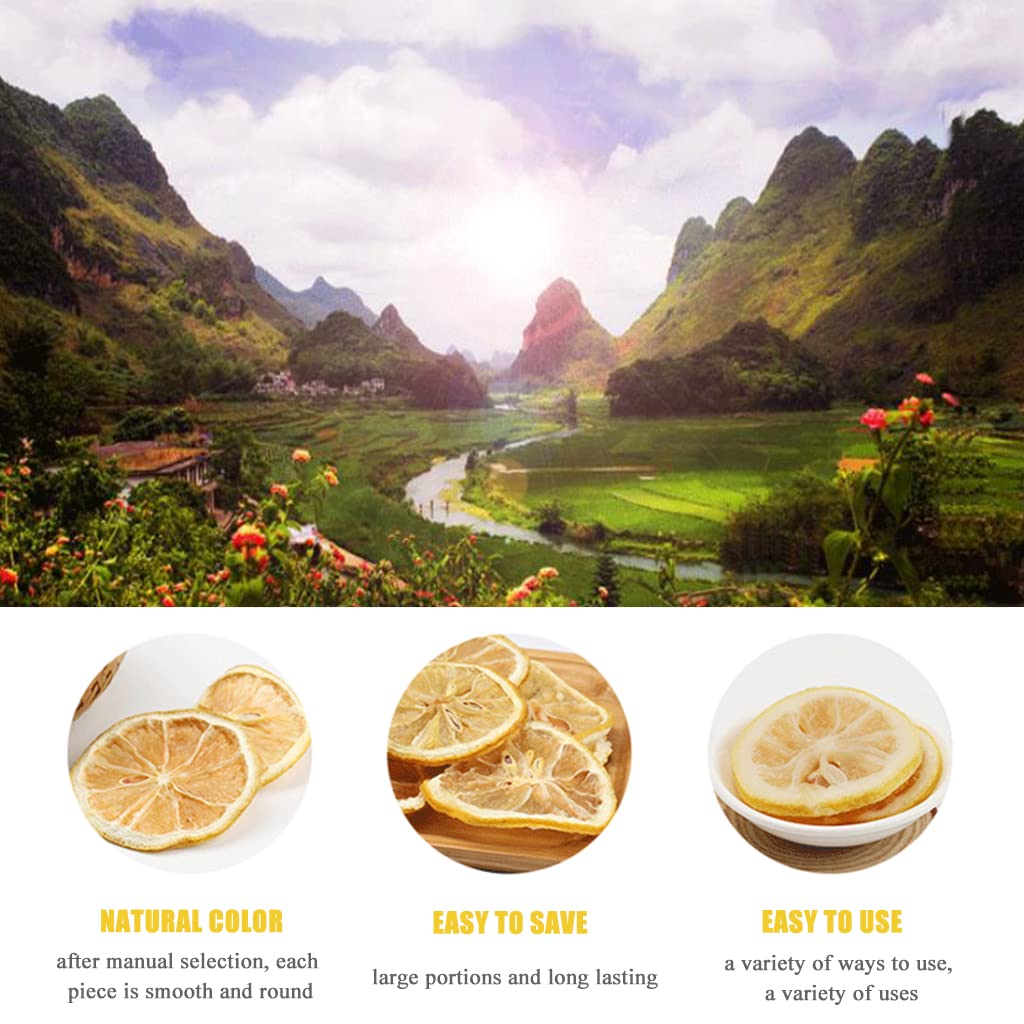 SXET Dried Lemon Slices, Sun-Dried Dehydrated Wheels, 100g/3.52oz, No Additives, Great for Decoration